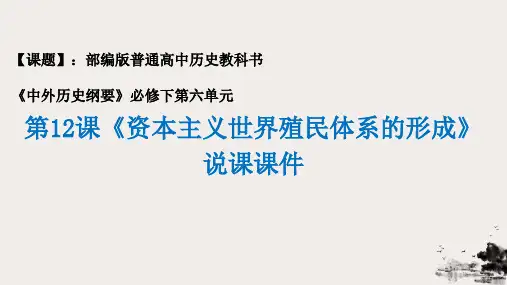 统编版《资本主义世界殖民体系的形成》PPT公开课课件3