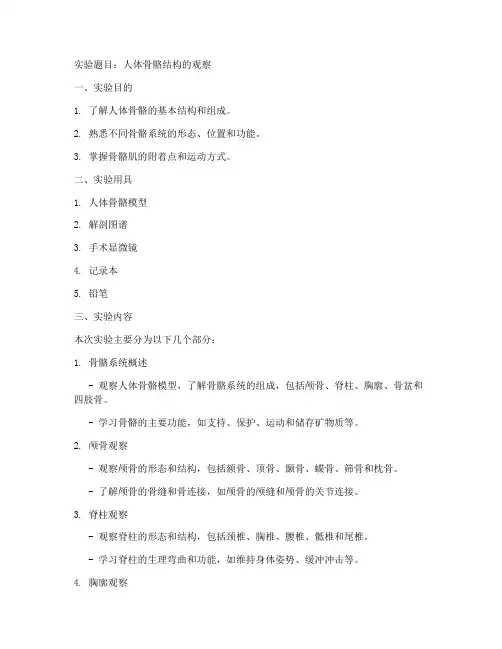 骨骼结构的实验报告