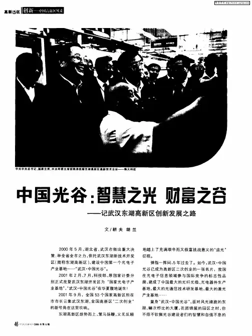 中国光谷：智慧之光 财富之谷——记武汉东湖高新区创新发展之路