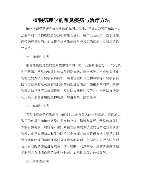 植物病理学的常见疾病与治疗方法