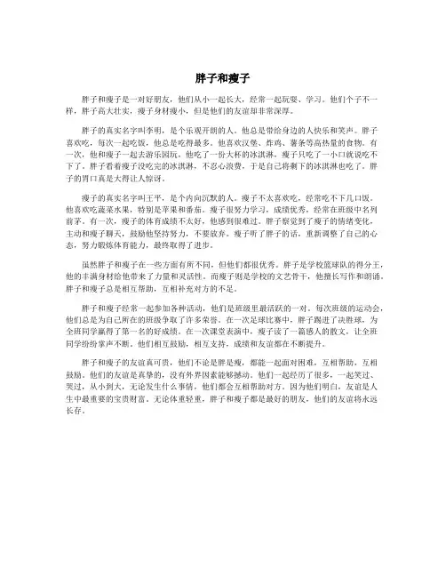 胖子和瘦子