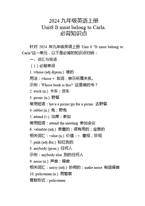 2024九年级英语上册Unit8必背知识点