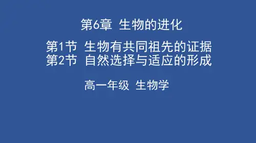 高中生物新教材《生物有共同祖先的证据》ppt完美版1