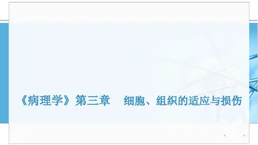 《病理学》组织细胞的适应损伤与修复PPT课件