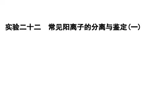 实验二十二 常见阳离子的分离与鉴定(一)