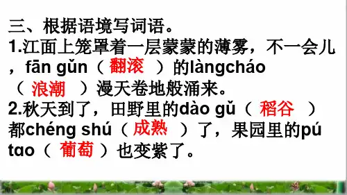 部编版四年级语文上册第一单元复习卷ppt课件.ppt