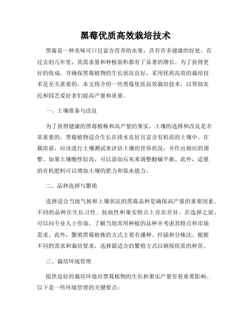 黑莓优质高效栽培技术