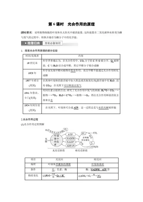 2023年高考生物一轮复习(新人教新高考) 第3单元 第6课时 光合作用的原理