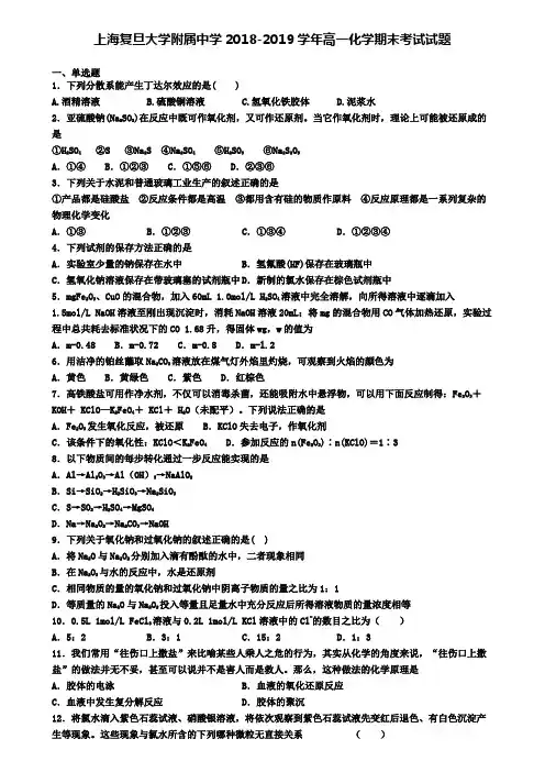 上海复旦大学附属中学2018-2019学年高一化学期末考试试题