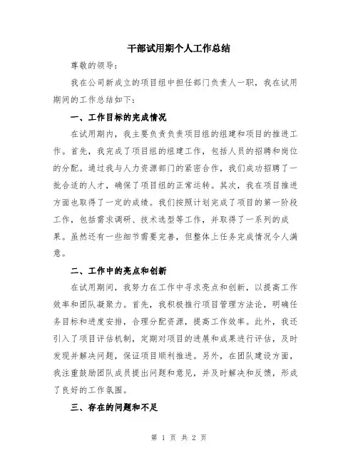干部试用期个人工作总结