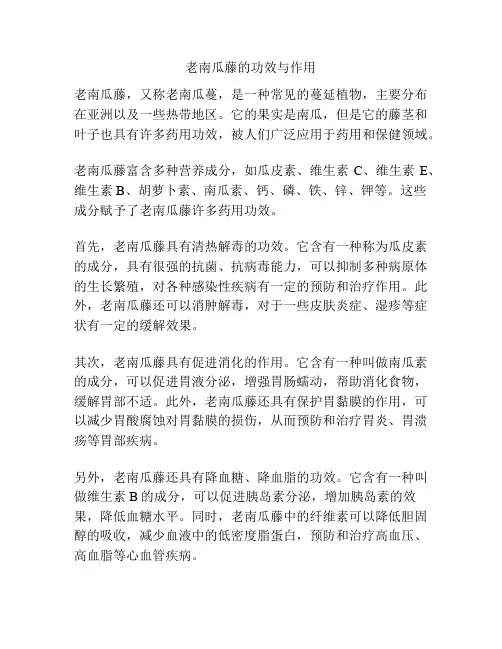 老南瓜藤的功效与作用