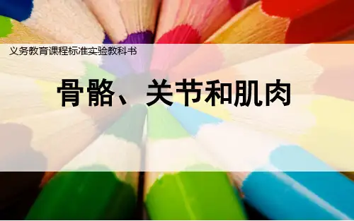 四级上册科学课件骨骼关节和肌肉教科版1
