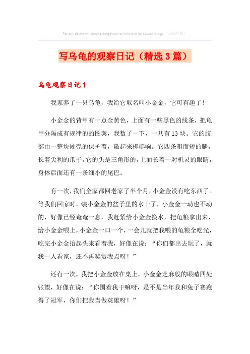 写乌龟的观察日记(精选3篇)