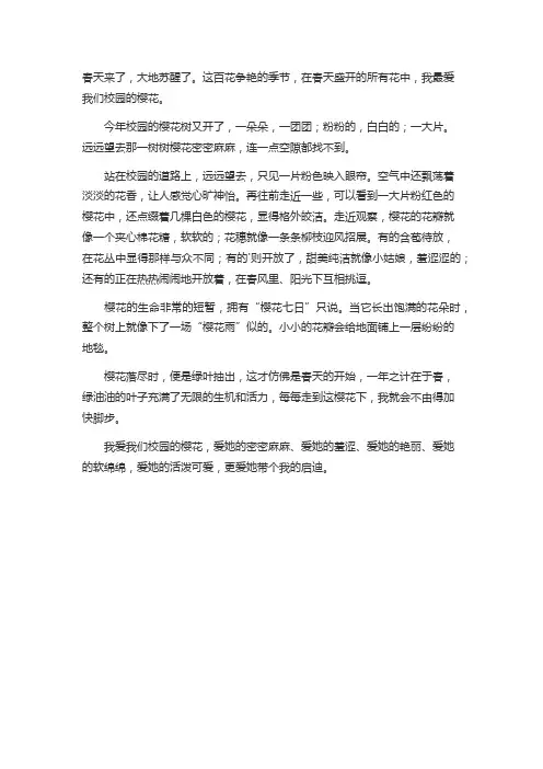 描写校园樱花树400字左右作文