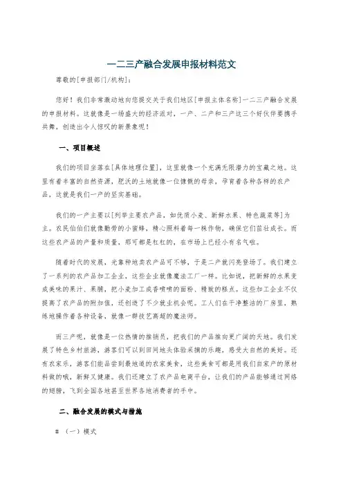 一二三产融合发展申报材料范文