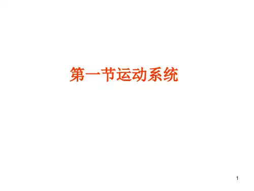 人体八大系统PPT课件