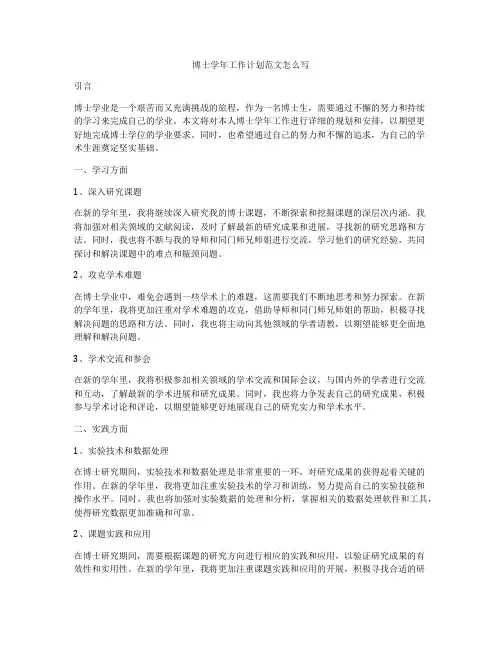 博士学年工作计划范文怎么写