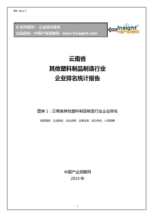 云南省其他塑料制品制造行业企业排名统计报告