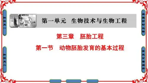 【课堂新坐标】16-17学年高中生物选修三(中图版课件)第一单元第三章胚胎工程第1节动物胚胎发育的基本过程
