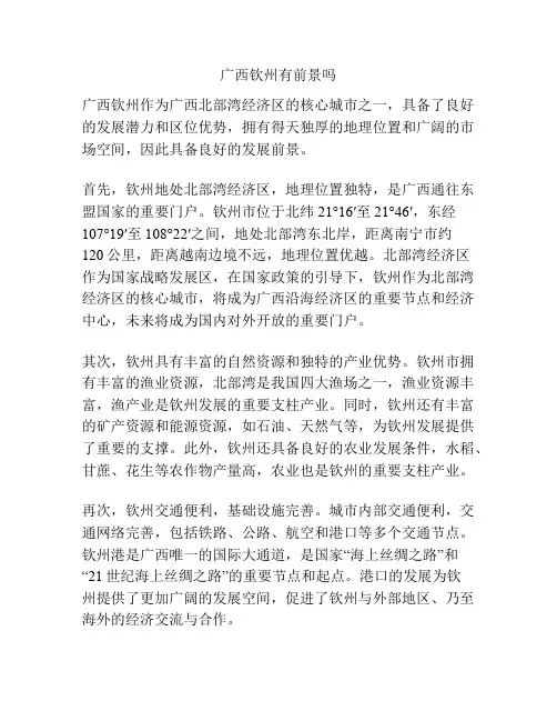 广西钦州有前景吗