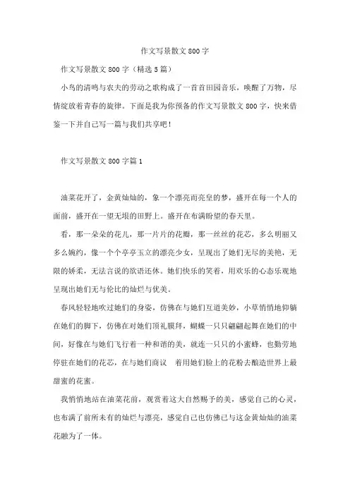 作文写景散文800字