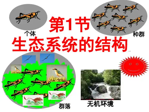 人教版高中生物必修(三)5.1 生态系统结构 课件 (共25张PPT)