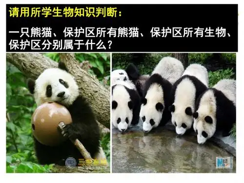 生态系统的结构 PPT课件 人教课标版