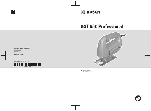 博世GST 650 Professional说明书