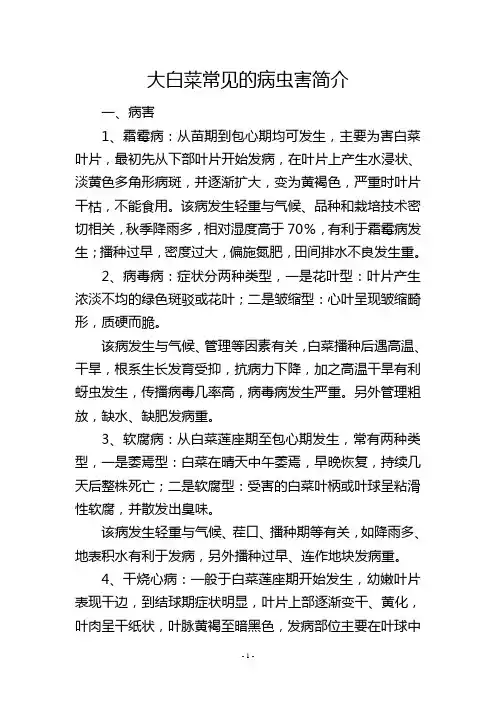 大白菜常见的病虫害简介