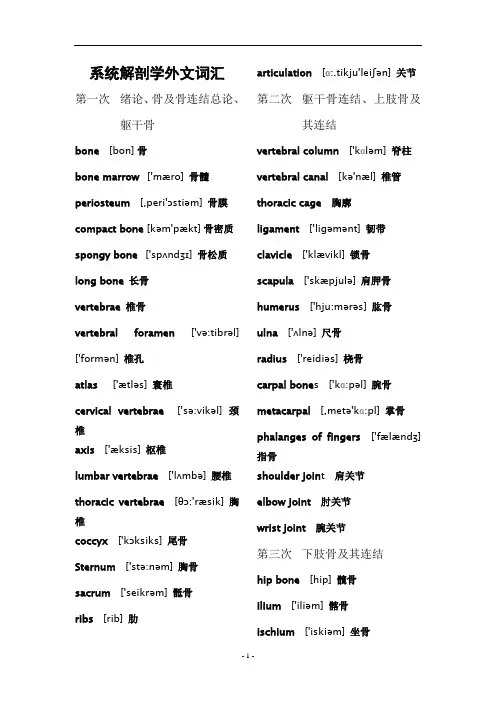 系统解剖学英文词汇