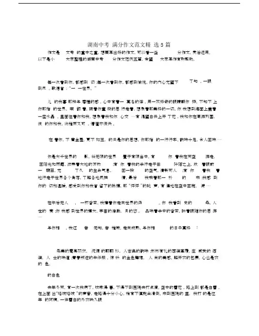湖南中考满分作文范文精选5篇.docx
