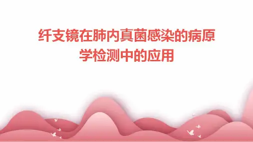 纤支镜在肺内真菌感染的病原学检测中的应用