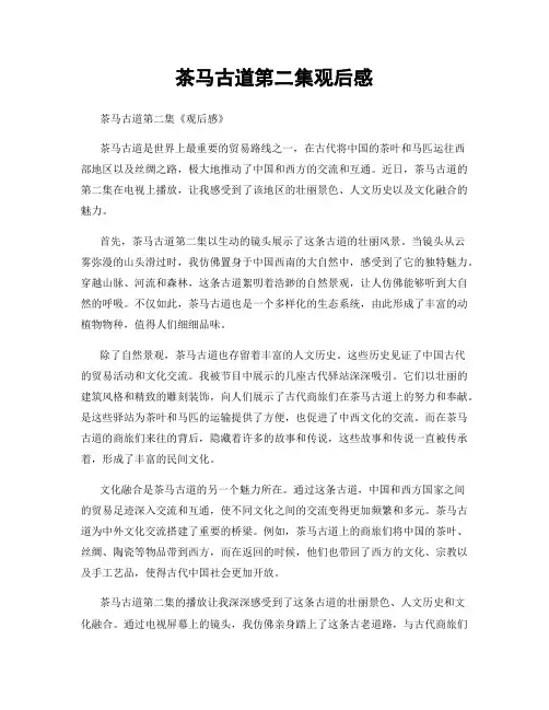 茶马古道第二集观后感