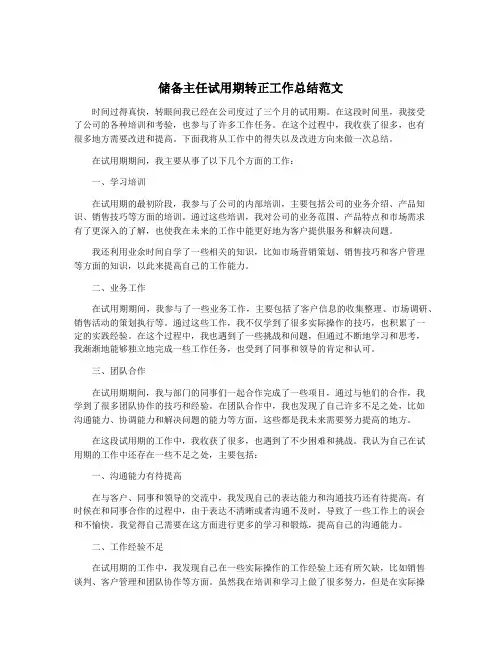 储备主任试用期转正工作总结范文