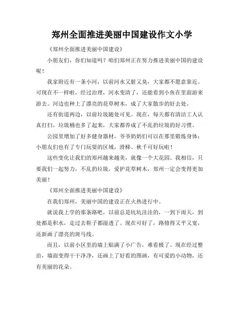 郑州全面推进美丽中国建设作文小学