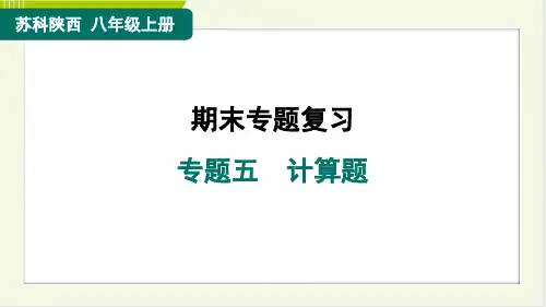 2024年苏科版八年级上册物理期末复习专题五计算题