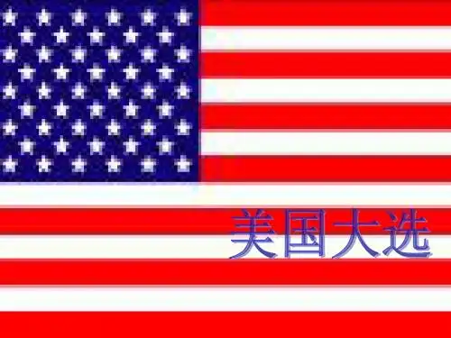 美国大选
