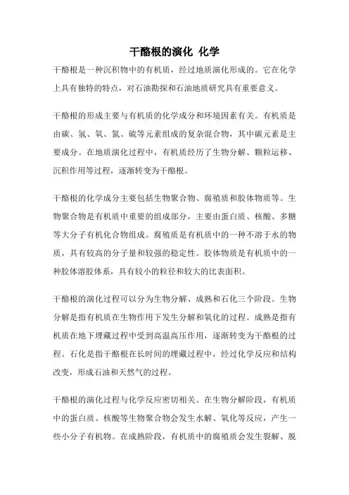 干酪根的演化 化学