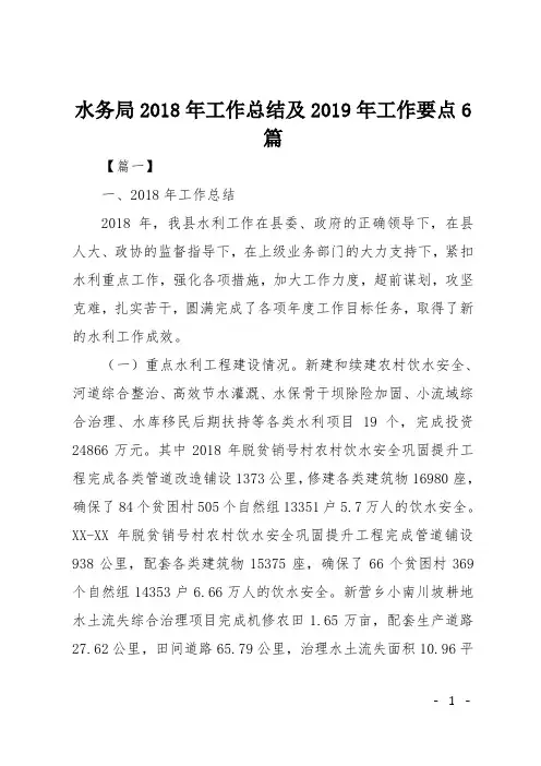 水务局2018年工作总结及2019年工作要点6篇