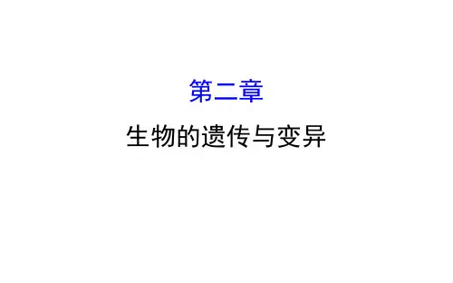 2021-2022学年人教版生物中考复习之生物的遗传与变异