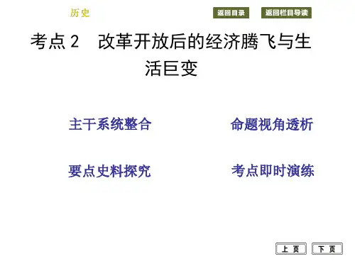 考点2 改革开放后的经济腾飞与生活巨变
