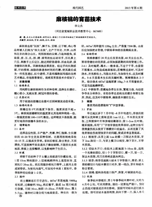 麻核桃的育苗技术