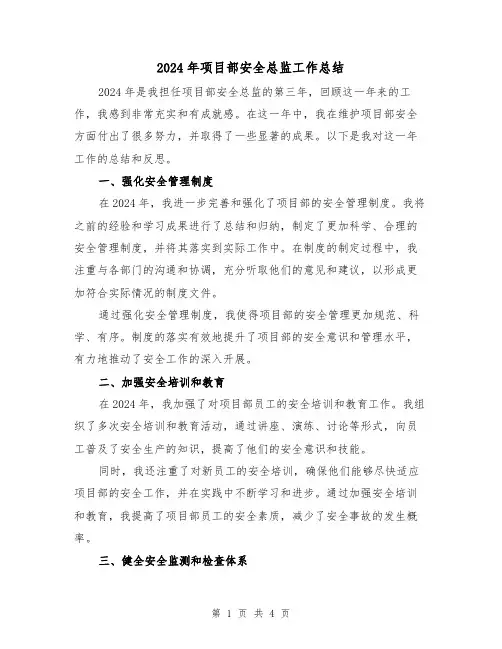 2024年项目部安全总监工作总结（2篇）