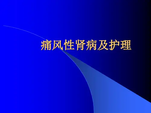 痛风性肾病护理ppt课件