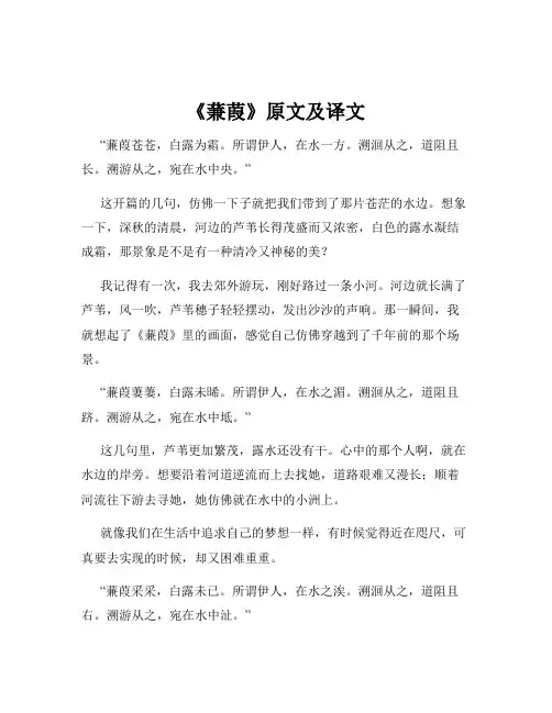 《蒹葭》原文及译文