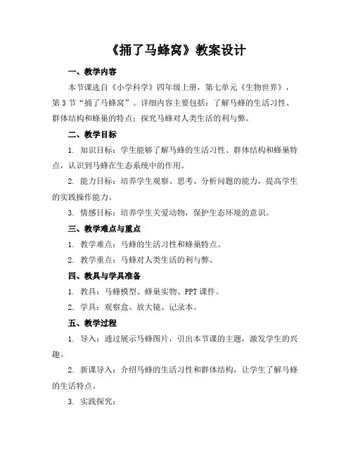 《捅了马蜂窝》教案设计