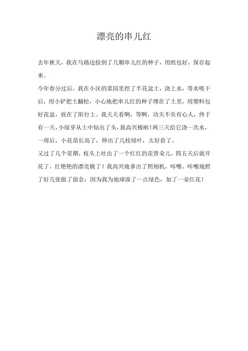 小学状物漂亮的串儿红
