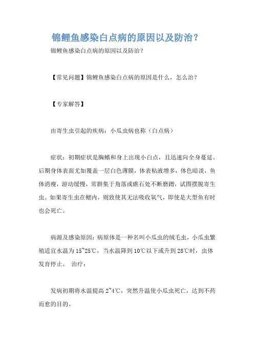 锦鲤鱼感染白点病的原因以及防治？