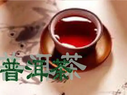 普洱茶