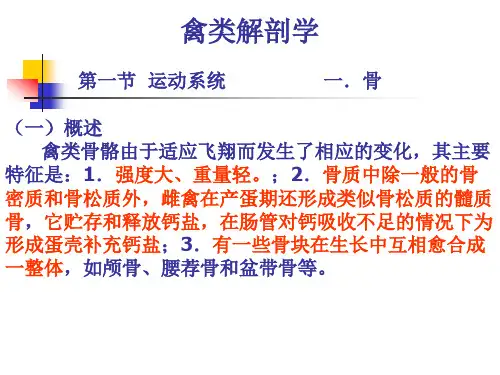 动物解剖学-禽类解剖学